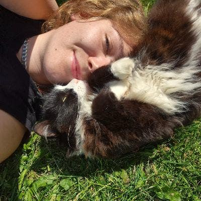 Wanted:Room to rent/1 bed flat for myself and cat  Main Photo