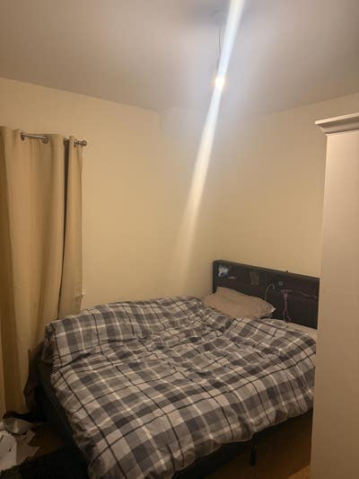 Room to Rent Main Photo
