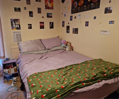 Room in 4 bed house available  Main Photo
