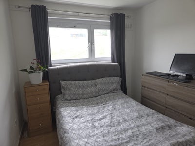 Spacious double bedroom to let  Main Photo