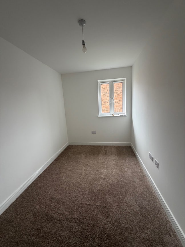 Furnished single room  for female  Newcastle -550  Main Photo