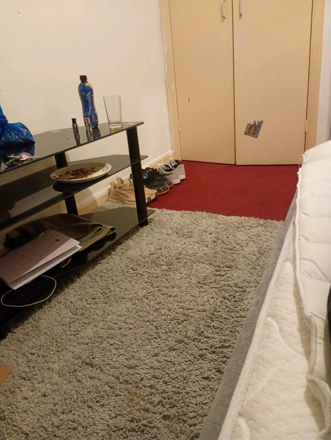 Flat mate or room mate  Main Photo