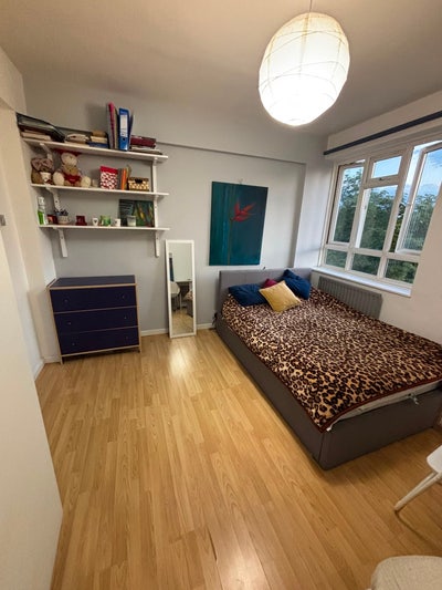 Lovely double room near Battersea Park Main Photo