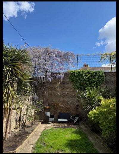 Room in a lovely house with garden  Main Photo