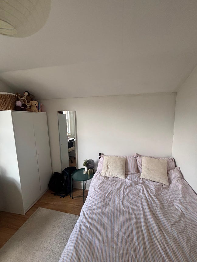 Looking for new housemate Main Photo