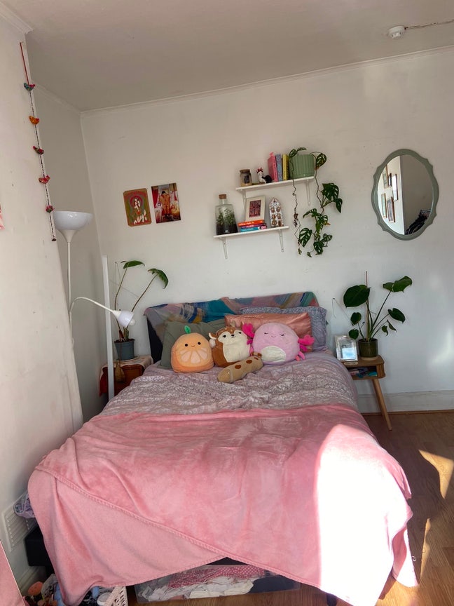 Double room to rent in Ashley down  Main Photo