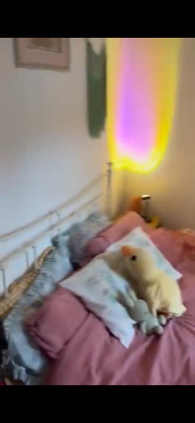 Double Bedroom in a 4 Bedroom Student House Main Photo
