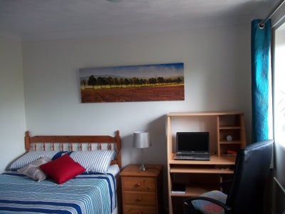 Large sunny room near Mill Rd Main Photo