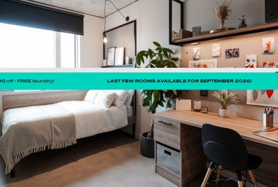Ensuite Room in Central London Main Photo