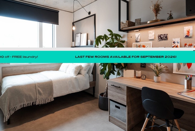 Ensuite Room in Central London Main Photo