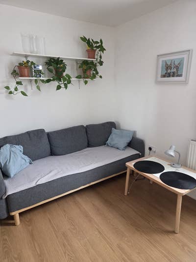Spacious Unique Bedsit with garden – Bills Include Main Photo