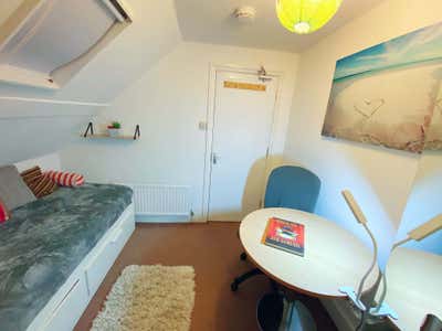 Cosy single bedroom in a shared house  Main Photo