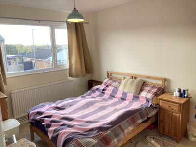 Large Double Room in Tidy Professional Home Main Photo