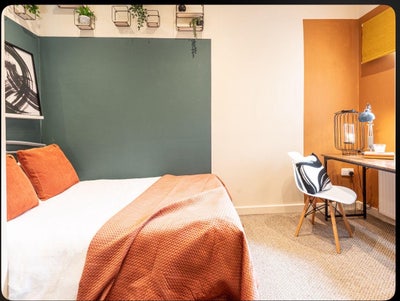 5* room near Chester centre & hospital  Main Photo