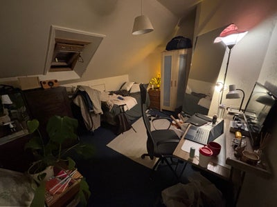 Room in spacious flat in Marchmont Main Photo