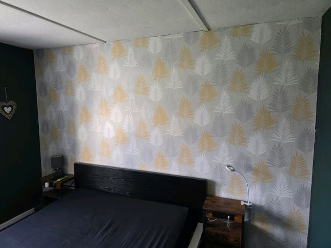 Room to rent in Frome Somerset  Main Photo