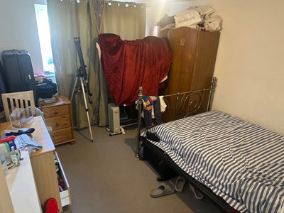 Female flatmate wanted Main Photo