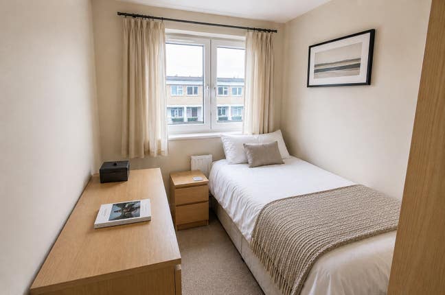 Great room in clean friendly flat  Main Photo