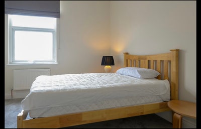 Double room in South Wimbledon  Main Photo