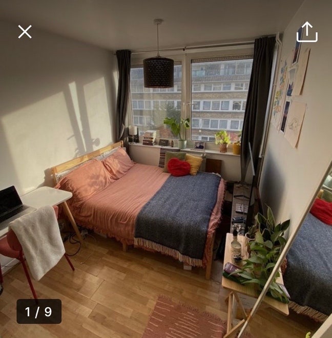 Bright double room in friendly house share Main Photo