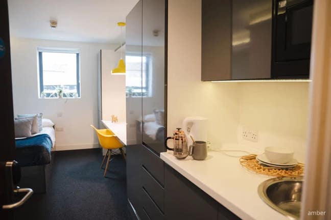 Available Sept 2026: Private Damside Studio Main Photo