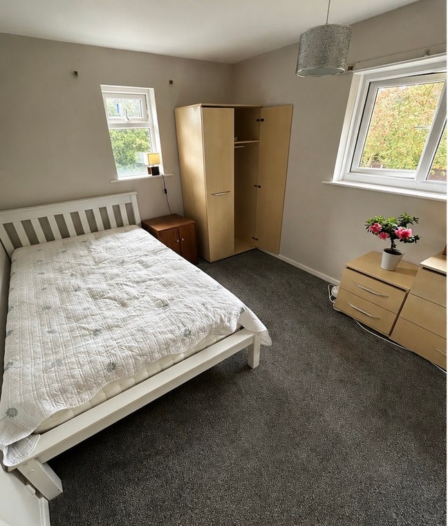 Dogs lover only!Bright,fully furnished double room Main Photo