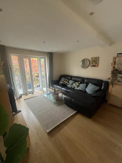 Double Room in lovely, bright flat on Palatine Rd  Main Photo