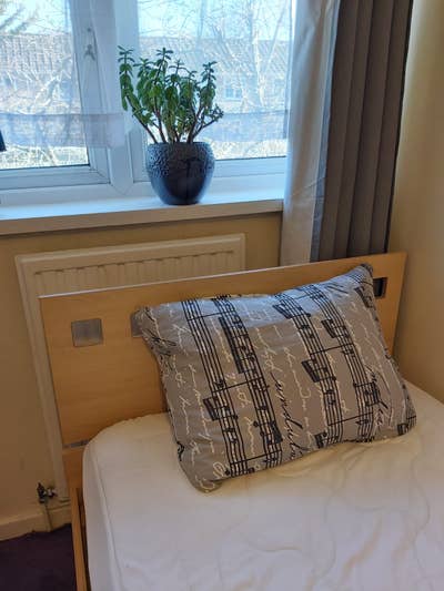 Single room for rent Main Photo
