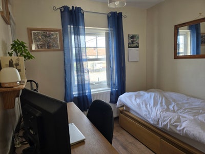 Unique & Easy-going Home Share in Boldon Colliery Main Photo