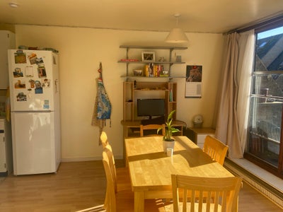 Manor Place, Single Room Main Photo