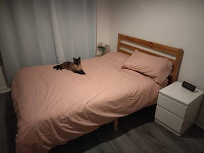 Double room in modern flat, east end (bills inc) Main Photo