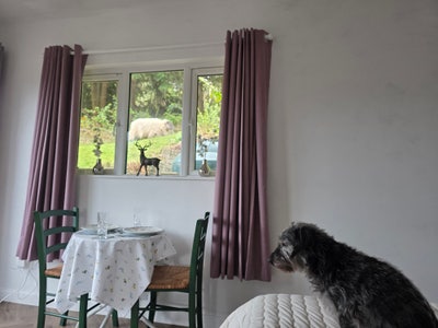 Large double room  Main Photo