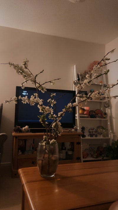 Looking for flatmate Main Photo