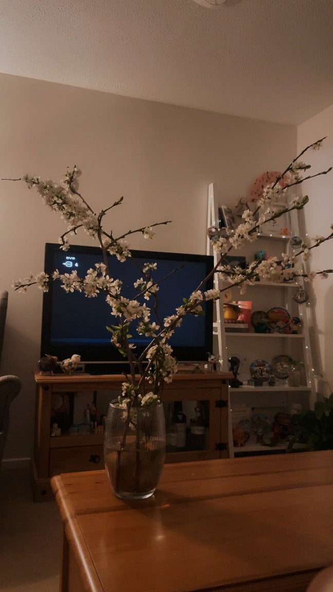 Looking for flatmate Main Photo
