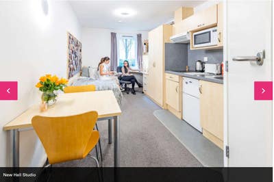 Studio available Ntu double bed, kitchen n ensuite Main Photo