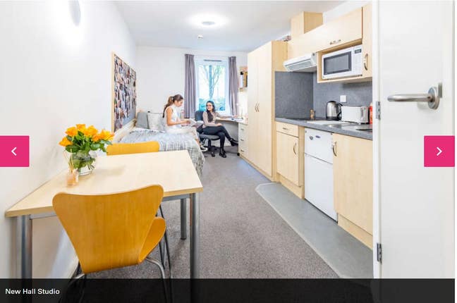 Studio available Ntu double bed, kitchen n ensuite Main Photo