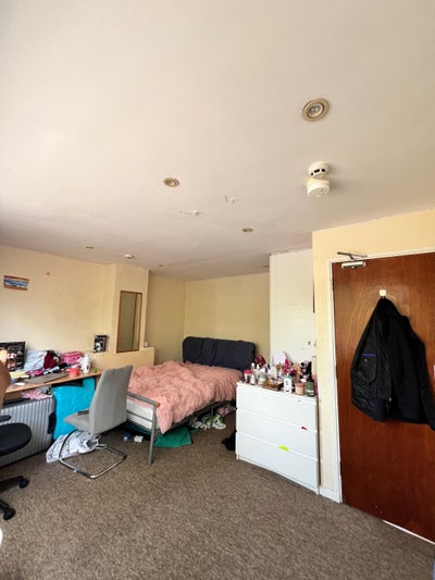 Big Space Double room available in Hatfield - 500&pound; Main Photo