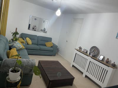 2 double room  Main Photo