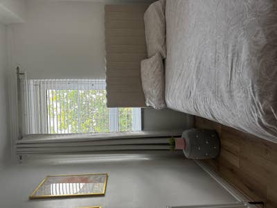 Bright Small Double Room in Holland Park W11  Main Photo