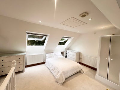 Large double room/annexe  Main Photo