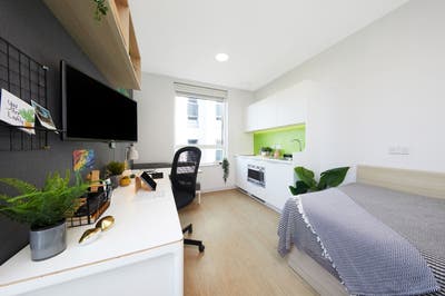 Premium Plus Studio Available Main Photo