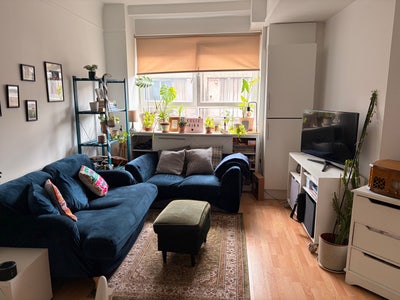 Bethnal Green Bright Double Room in cozy home Main Photo