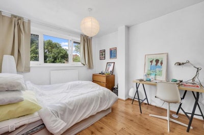 Lovely housemate wanted in E2 Main Photo