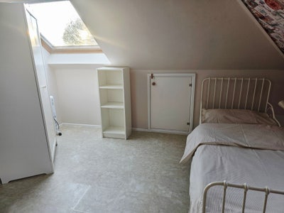 A friendly family is looking for a house mate  Main Photo