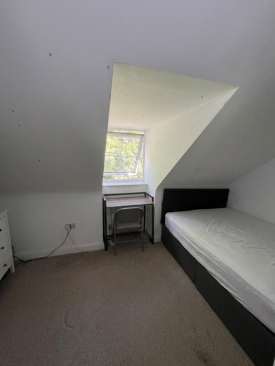 1 rooms to rent available  Main Photo
