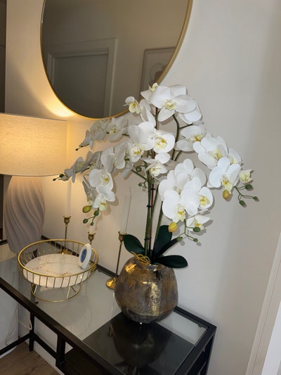 Double Room with Private Bathroom- Female only 🌸 Main Photo