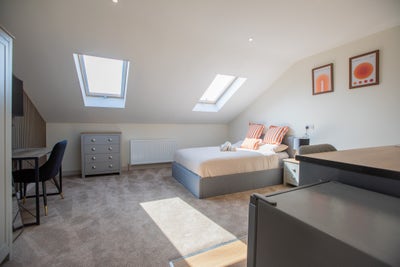 🏡 Portsmouth’S Newest 8-Bed House Share Main Photo