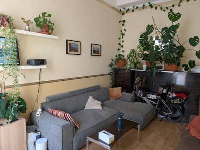 🌿 Double Room with Balcony – Pimlico SW1V  Main Photo