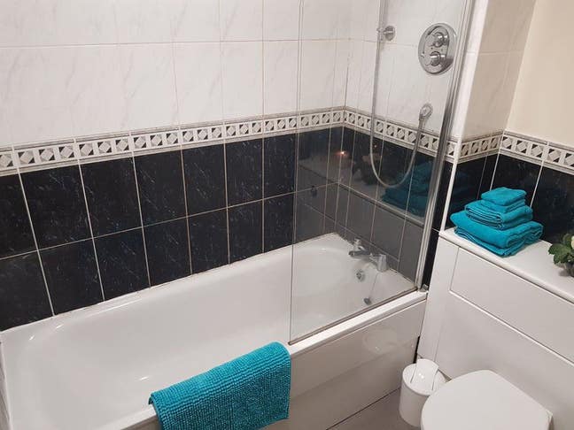 Double Room w/bathroom in modern 2-bed apartment. Main Photo
