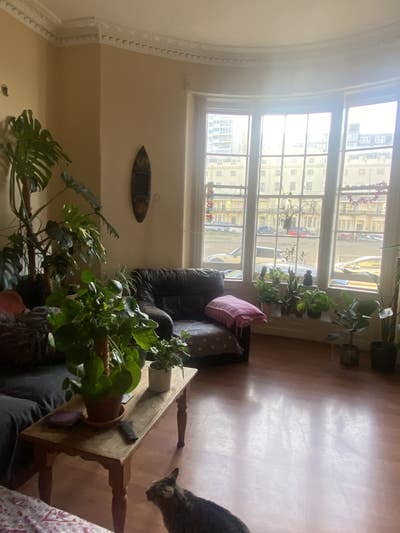 Room on Regency Square ✨ Main Photo